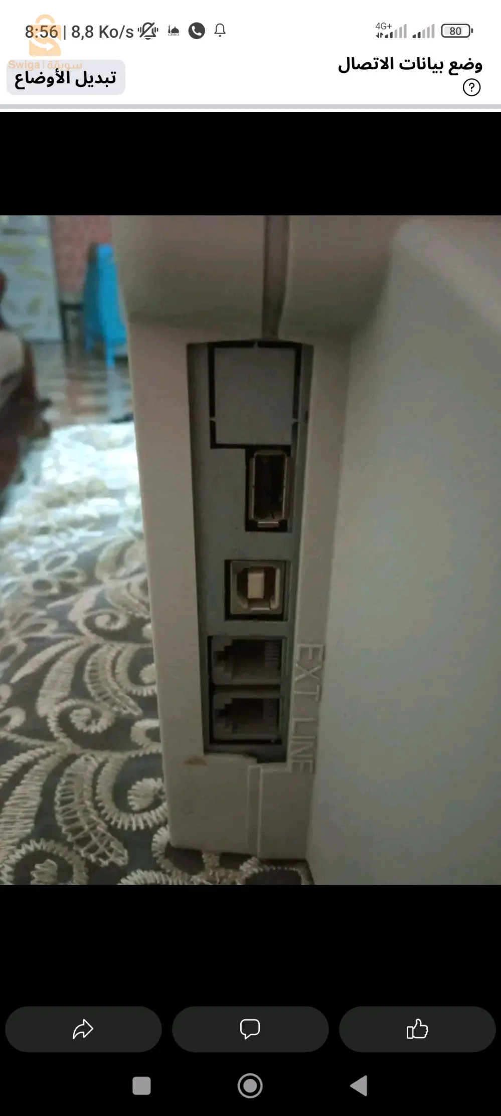 الشطية الشلف