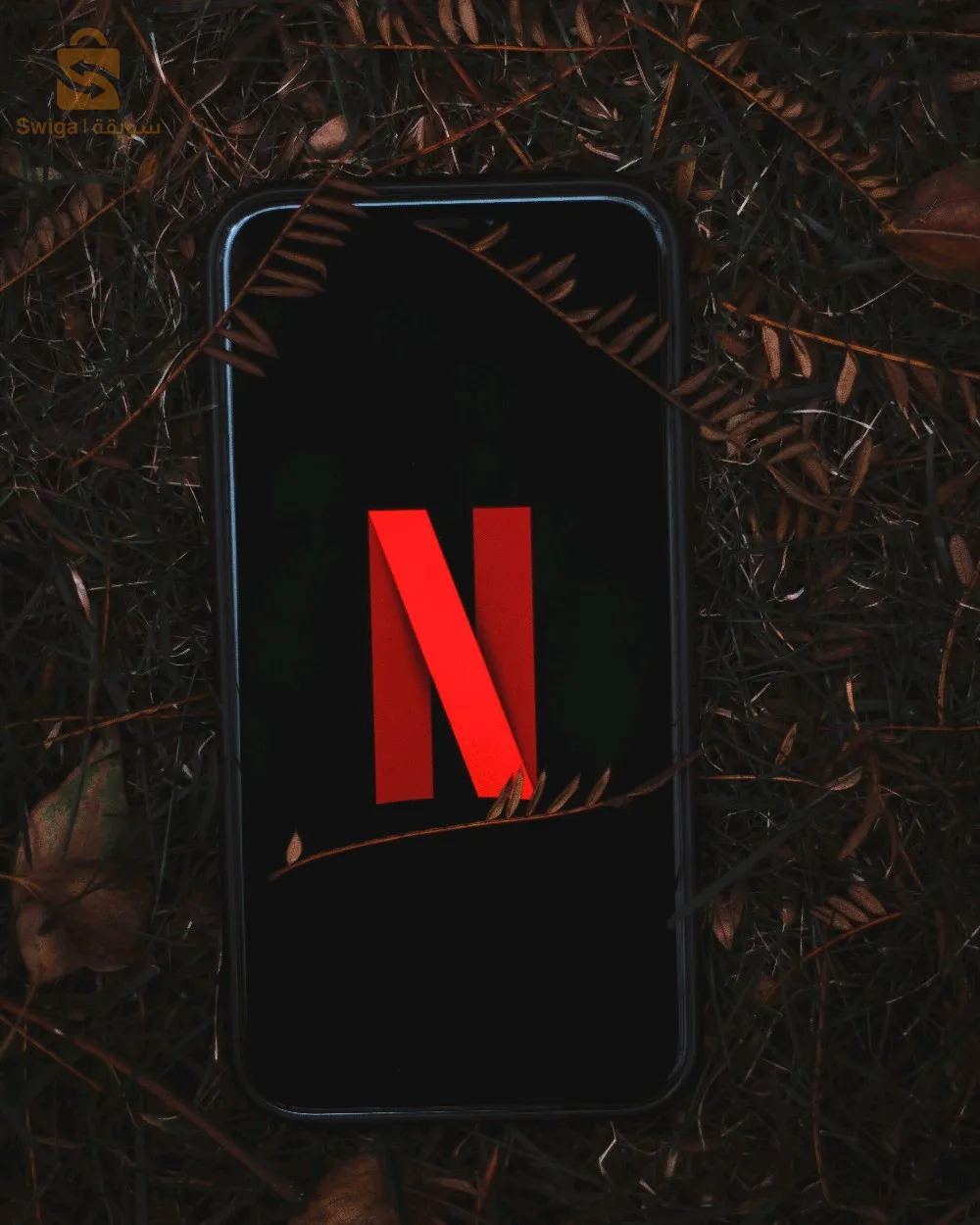 حسابات نتفلكس رسمية شاشاة باسم و كود المشتري ثقة و ضمان العمل 58 ولاية و كلطرق الدفع متوفرة