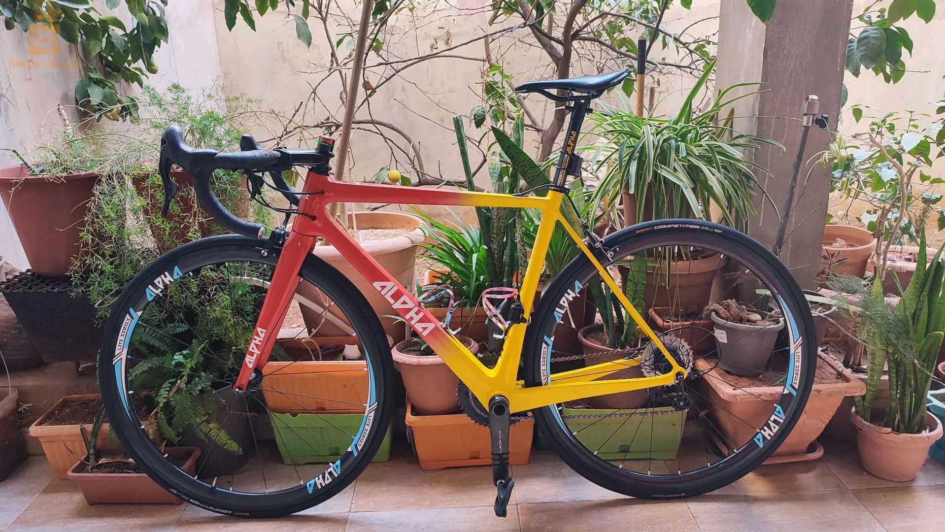 vélo course carbone