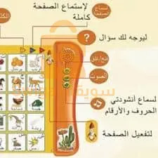 بجاية