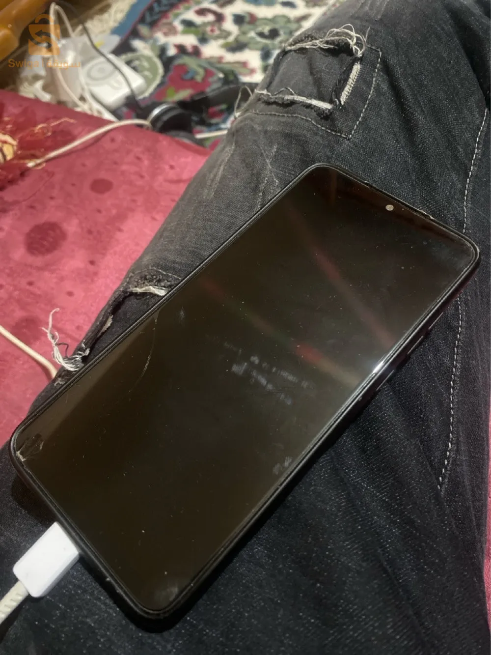 عنابة البوني