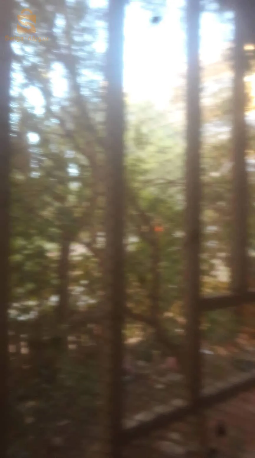 F3 rez de chaussée bba