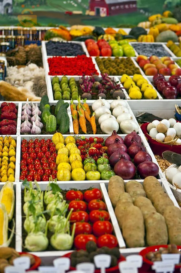 فواكه استواءية وغير موسمية