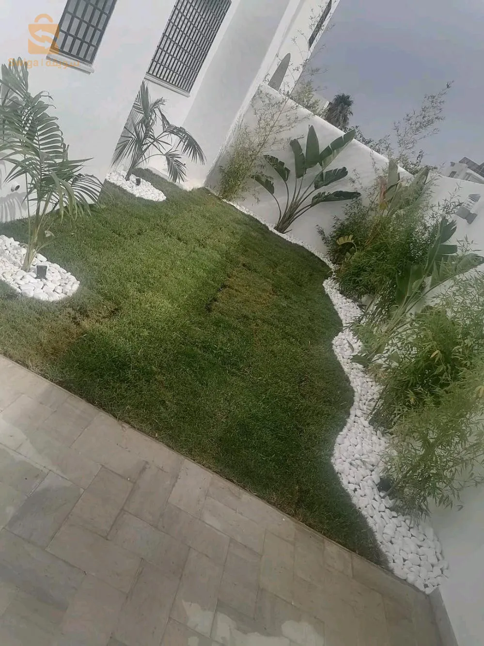 Bienvenue pour tout les travaux jardinage et décoration
Contacter chez nous sur Tél/whatsApp 0772157007/0673169475🌷🌳🌴🌹🌲🌻🌵
