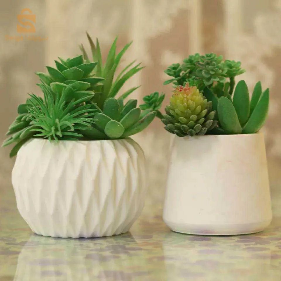 اعمال البستنة و البيع النبات