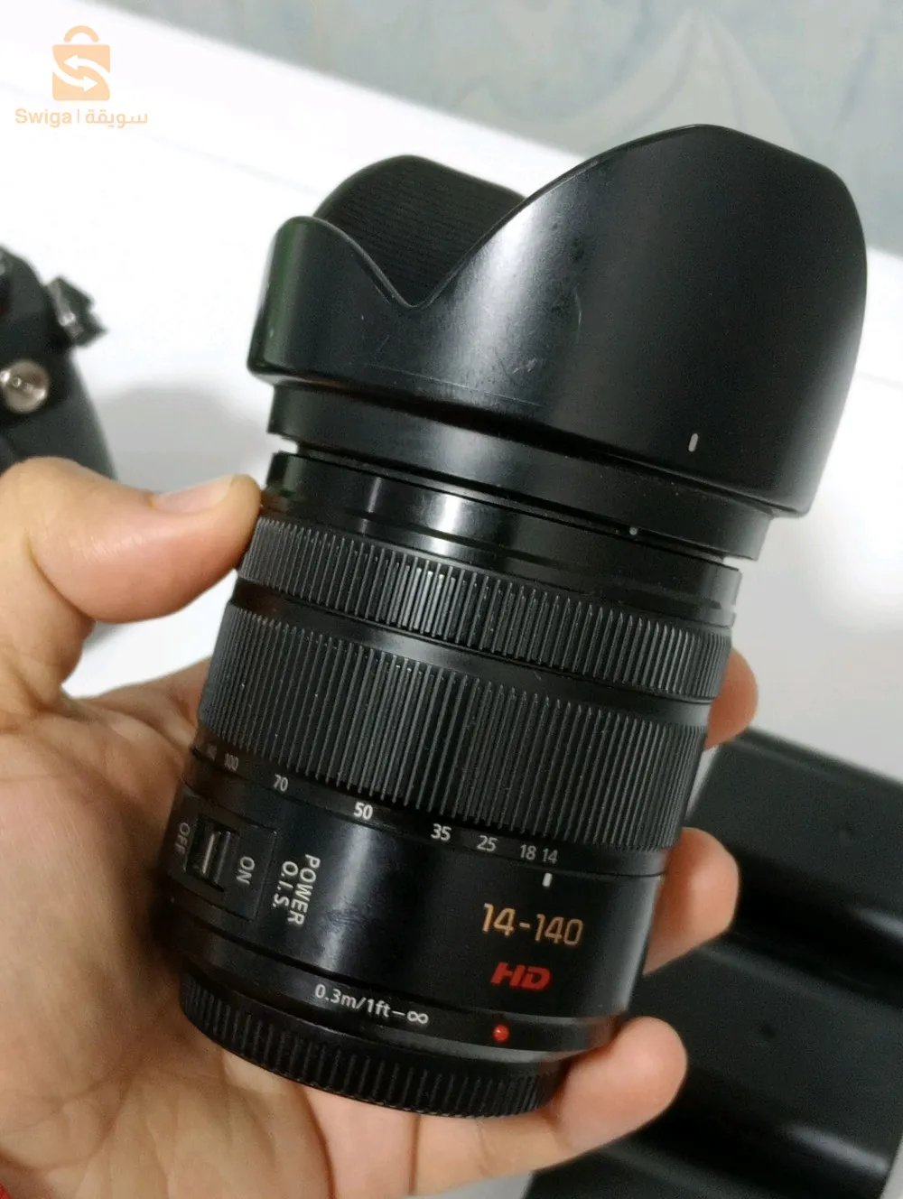 lumix gh5s