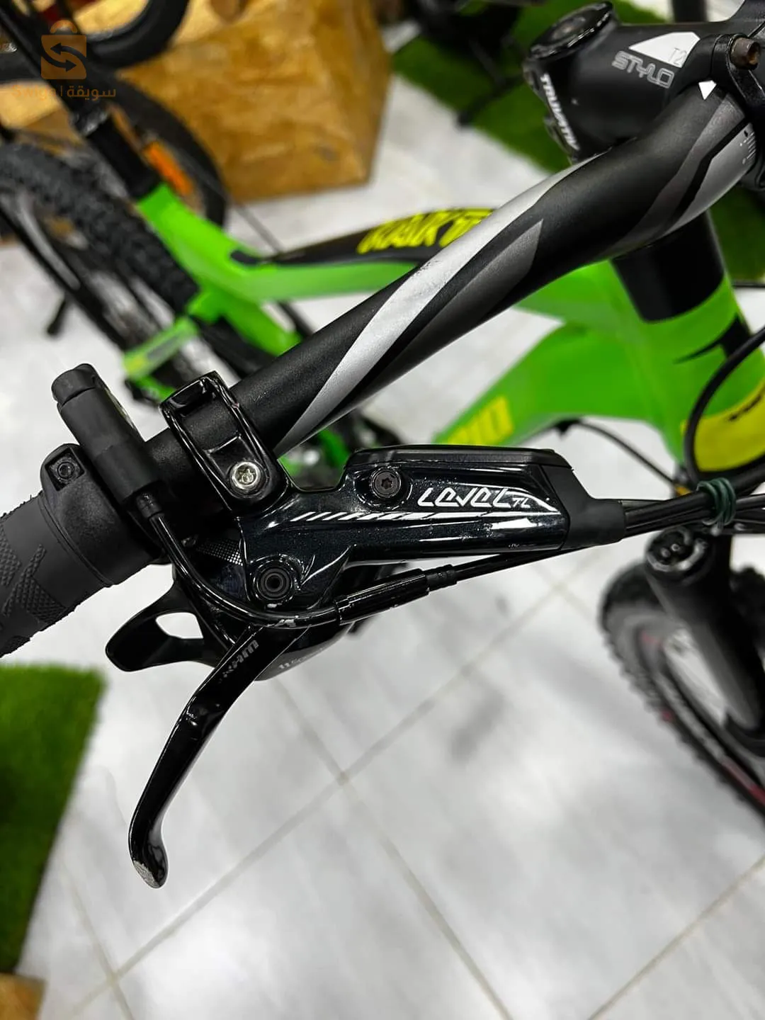 Villo Vario kaktus