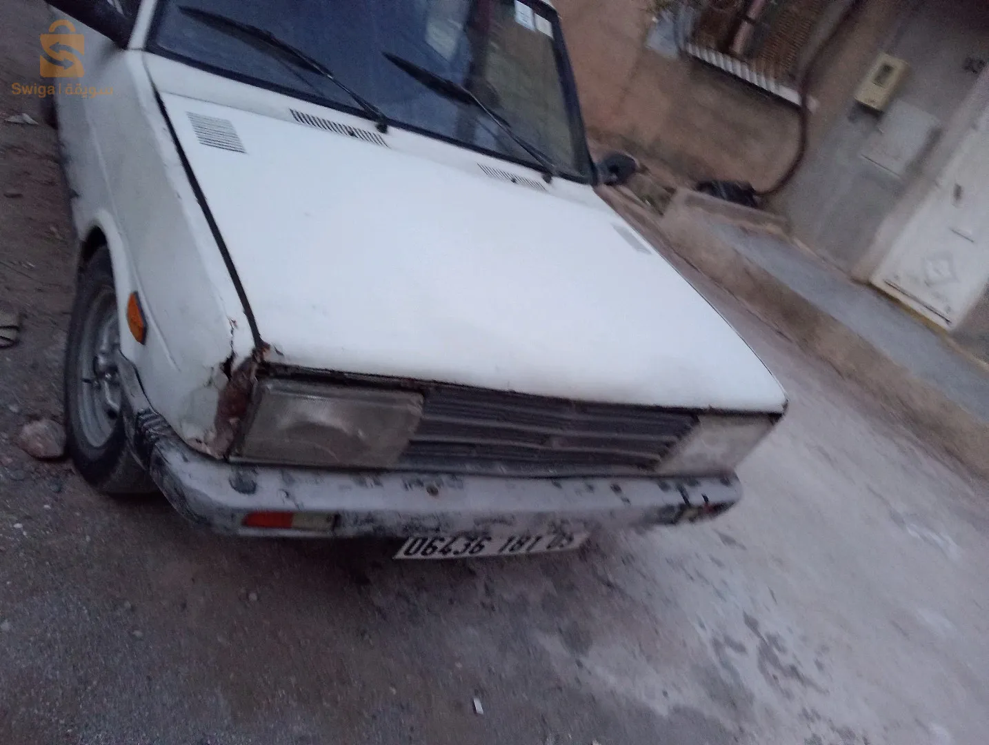 عبزن العصافير