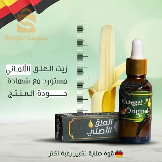 الجزائر