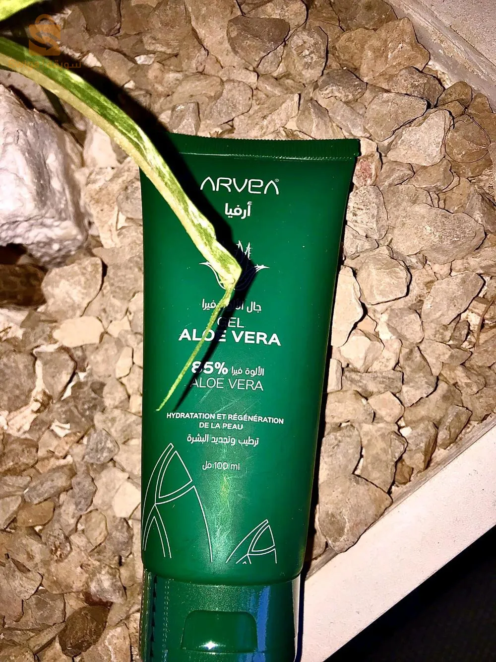 جال الاوة فيرا الحل الفعال للقضاء على مشكل حب الشباب