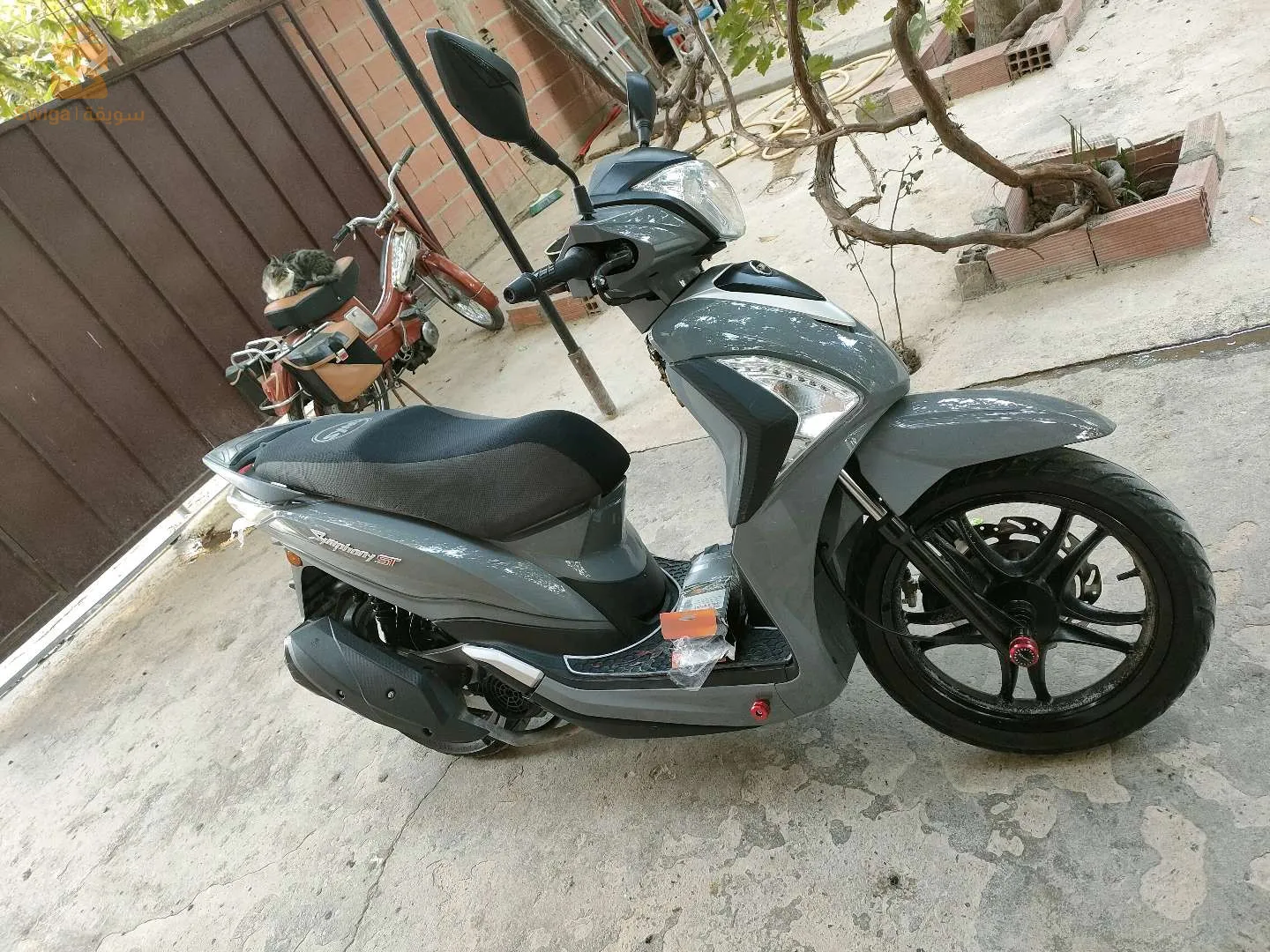 باتنة نقاوس