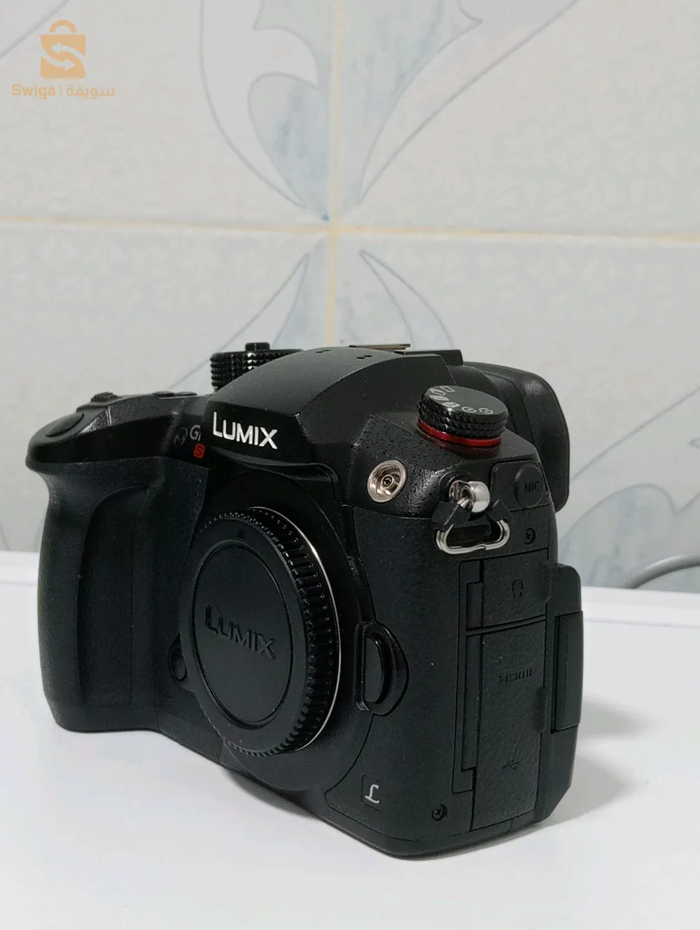 lumix gh5s