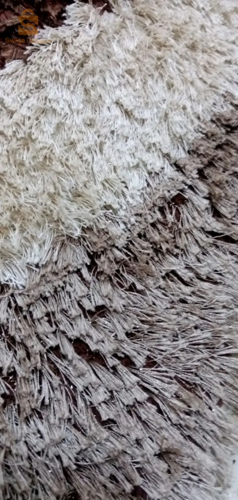 رزبية راقية صنع الشارقة ( الإمارات ) tapis gazoné