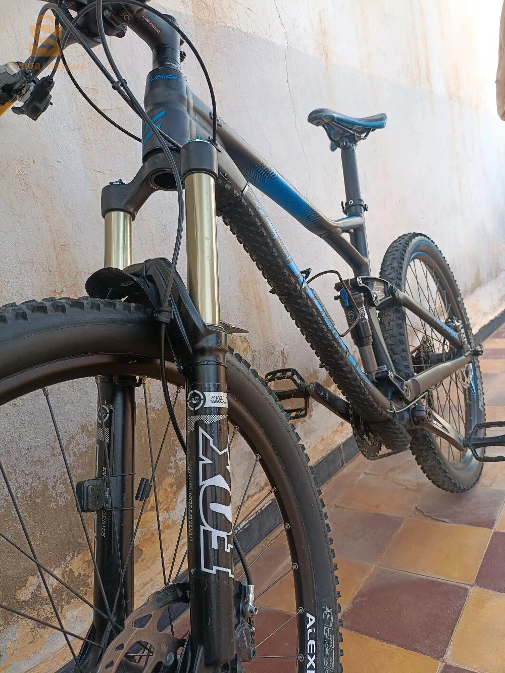 nopogo procraft