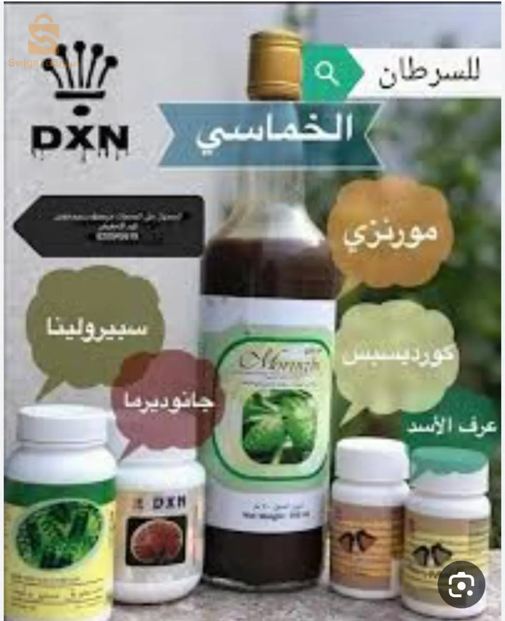 جميع الولايات
