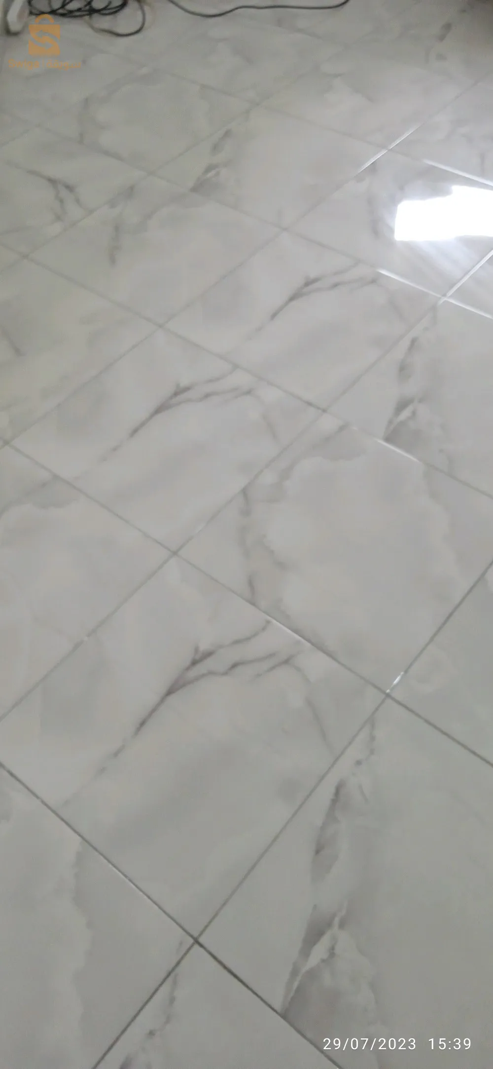 الجزائر