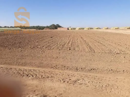 08 هكتار بجاب الطريق ارض فلاحية بإمتياز تتوفر فيها كل الشروط