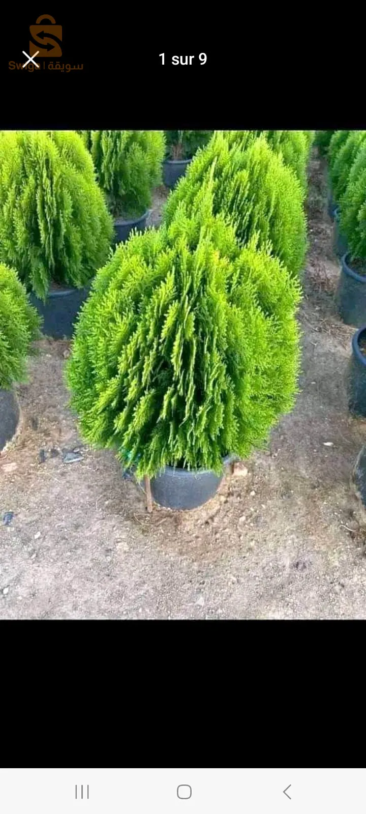 aménagement des espaces verts