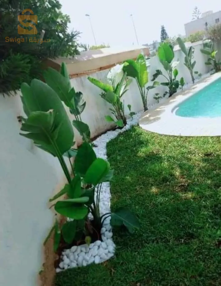 Bienvenue pour tout les travaux jardinage et décoration
Contacter chez nous sur Tél/whatsApp 0772157007/0673169475🌷🌳🌴🌹🌲🌻🌵