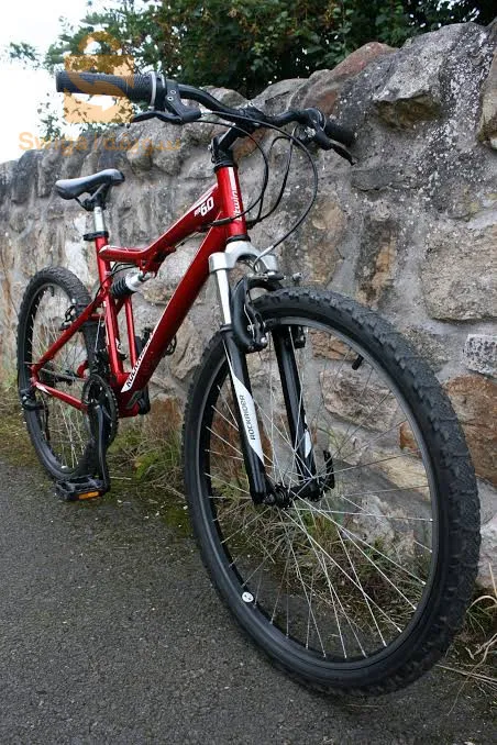 bitwin rokraider jdida European🇪🇺 from France🇫🇷