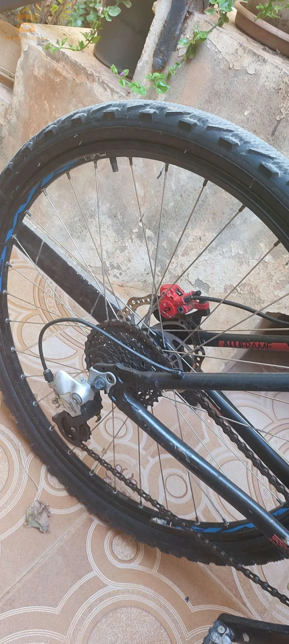 Trek + 2 bitwin