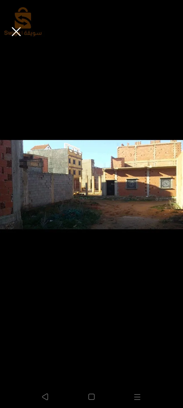 مستغانم