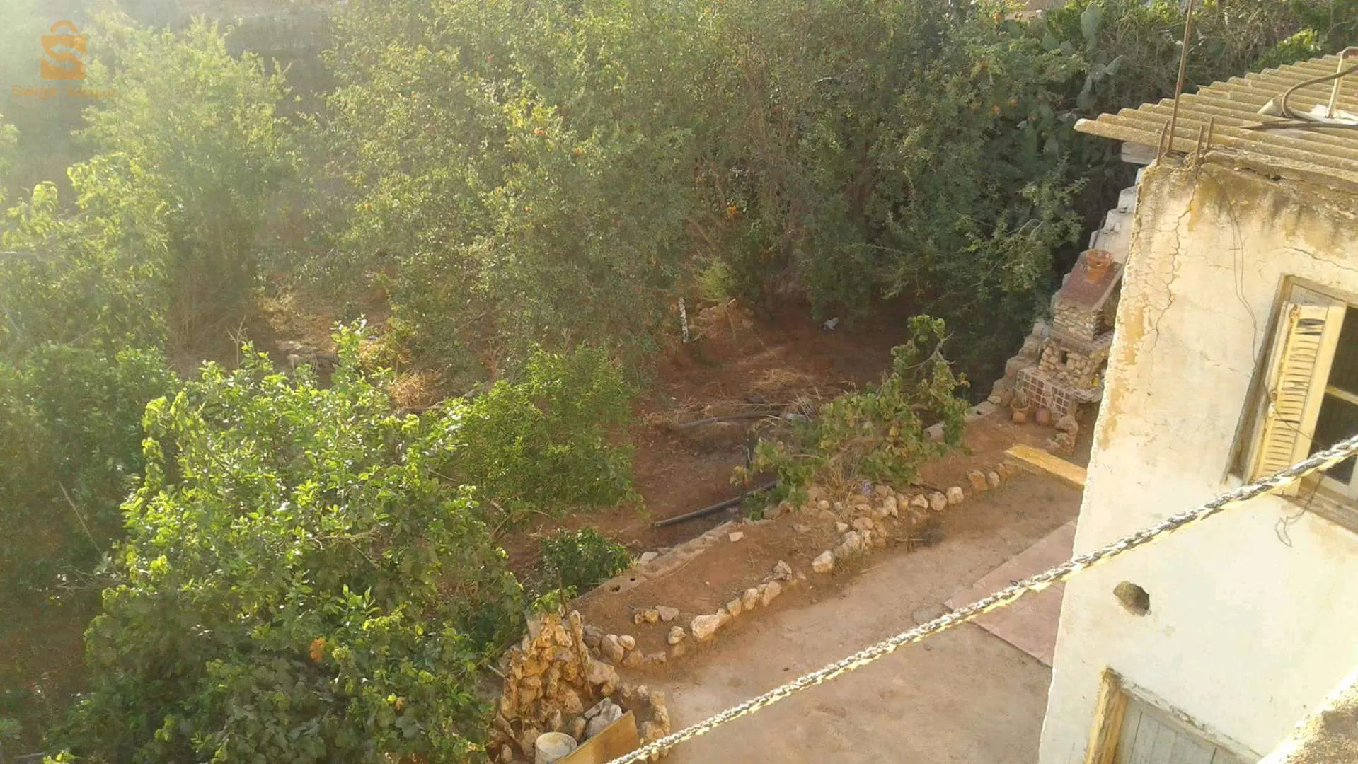 البريدية