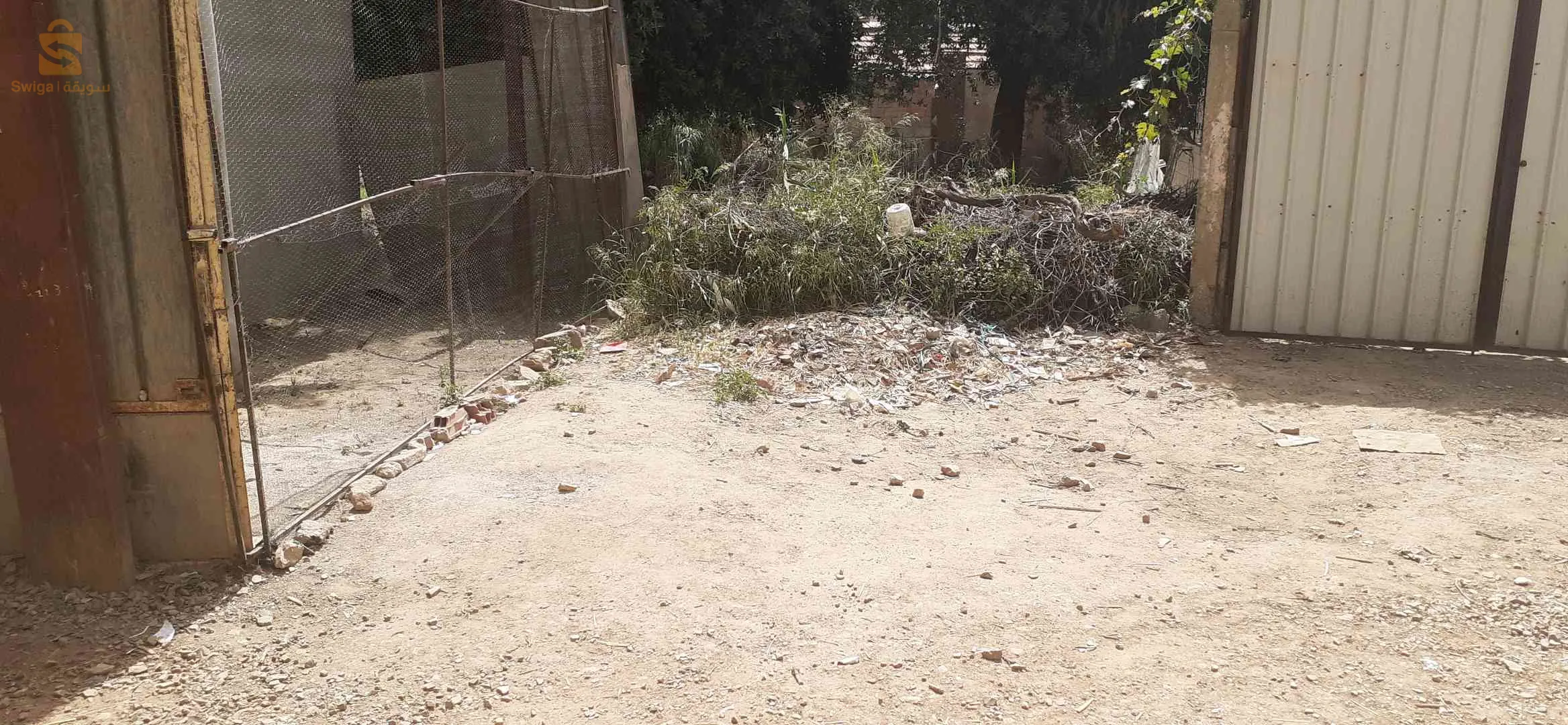 وسط الدردارة وسط بخميس مليانة .