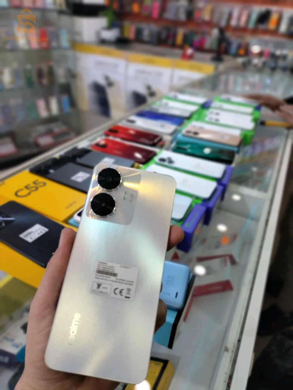 حجوط تيبازة