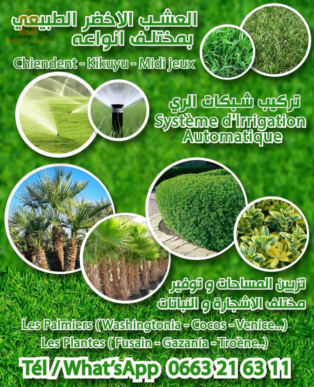 تهيئة المساحات الخضراء