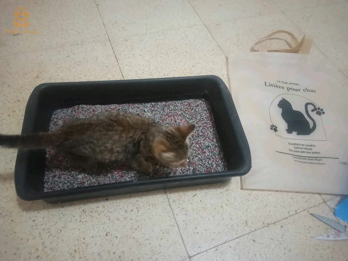 litière pour chat lavable