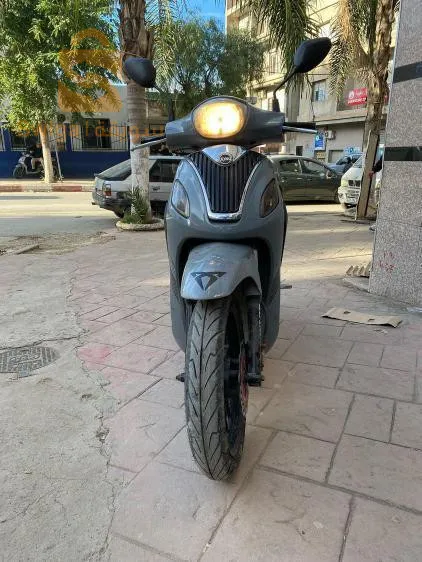 باليدة