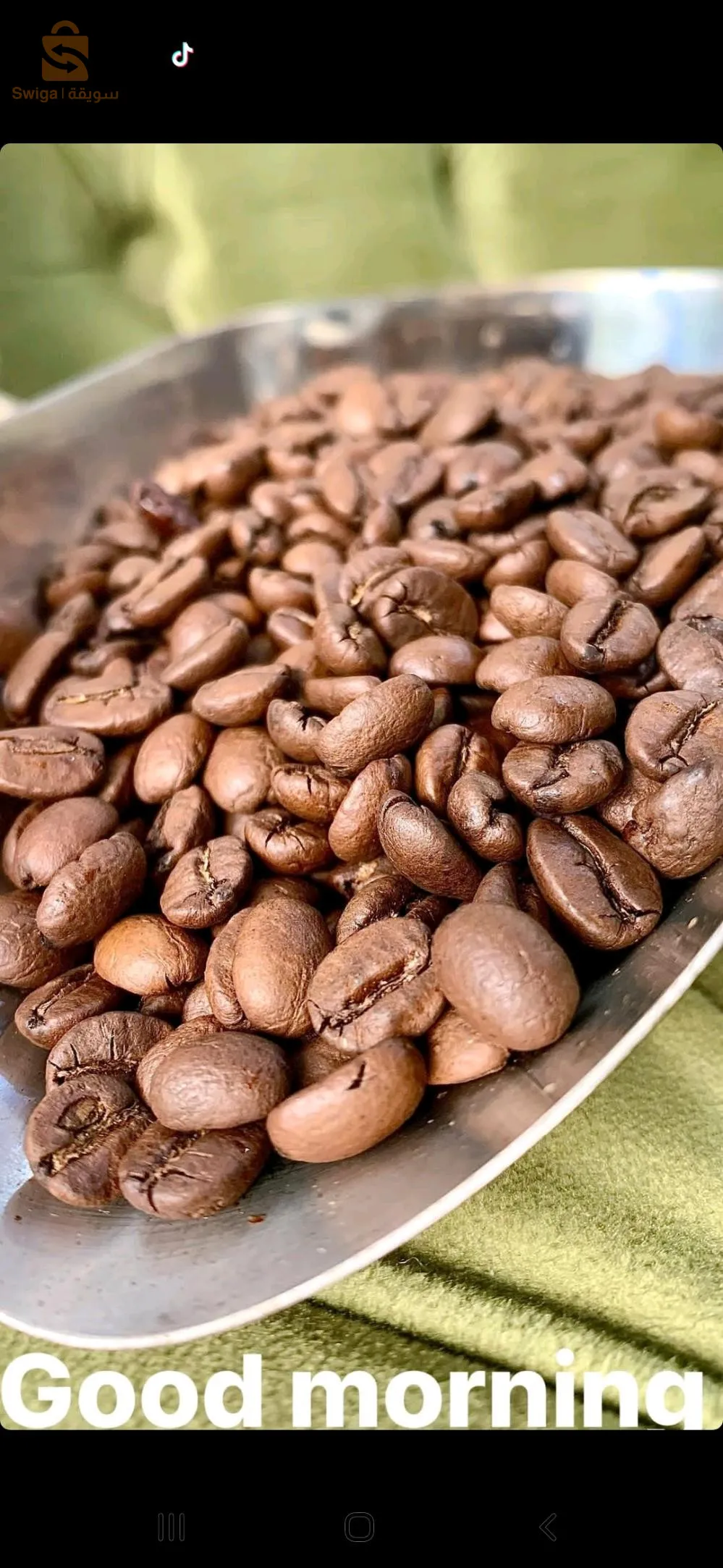 قهوة محمصة والخضراء للتنحيف