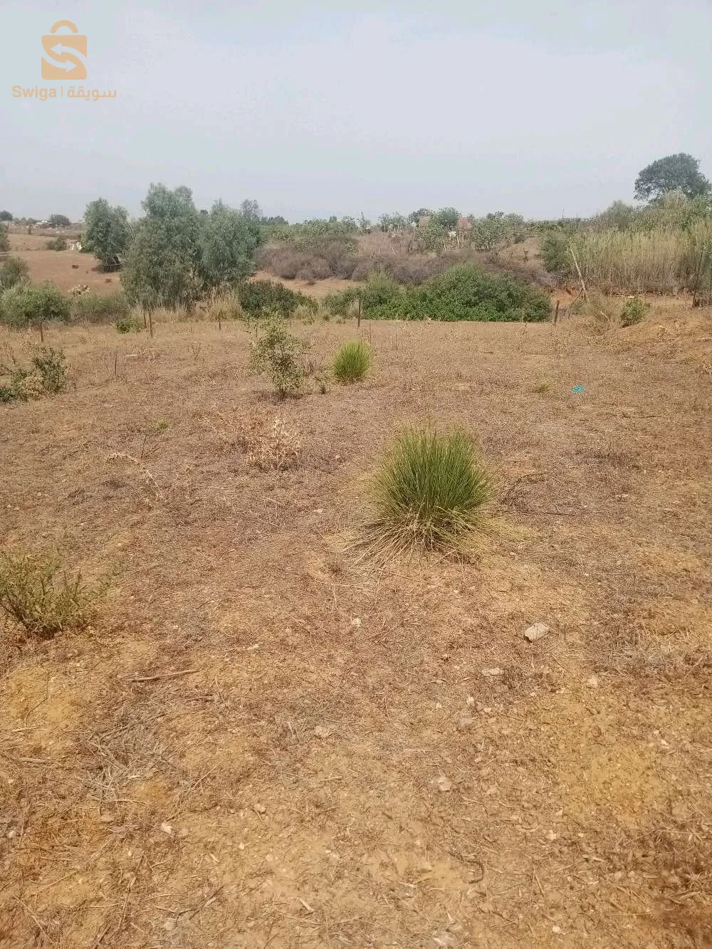terain a vendreavendre terrain de 1500 m2 hauteur de Boumerdes