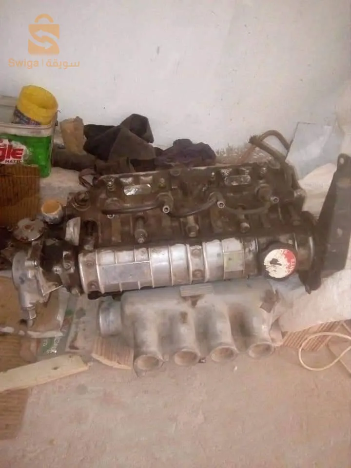 مسعد ولاية الجلفة