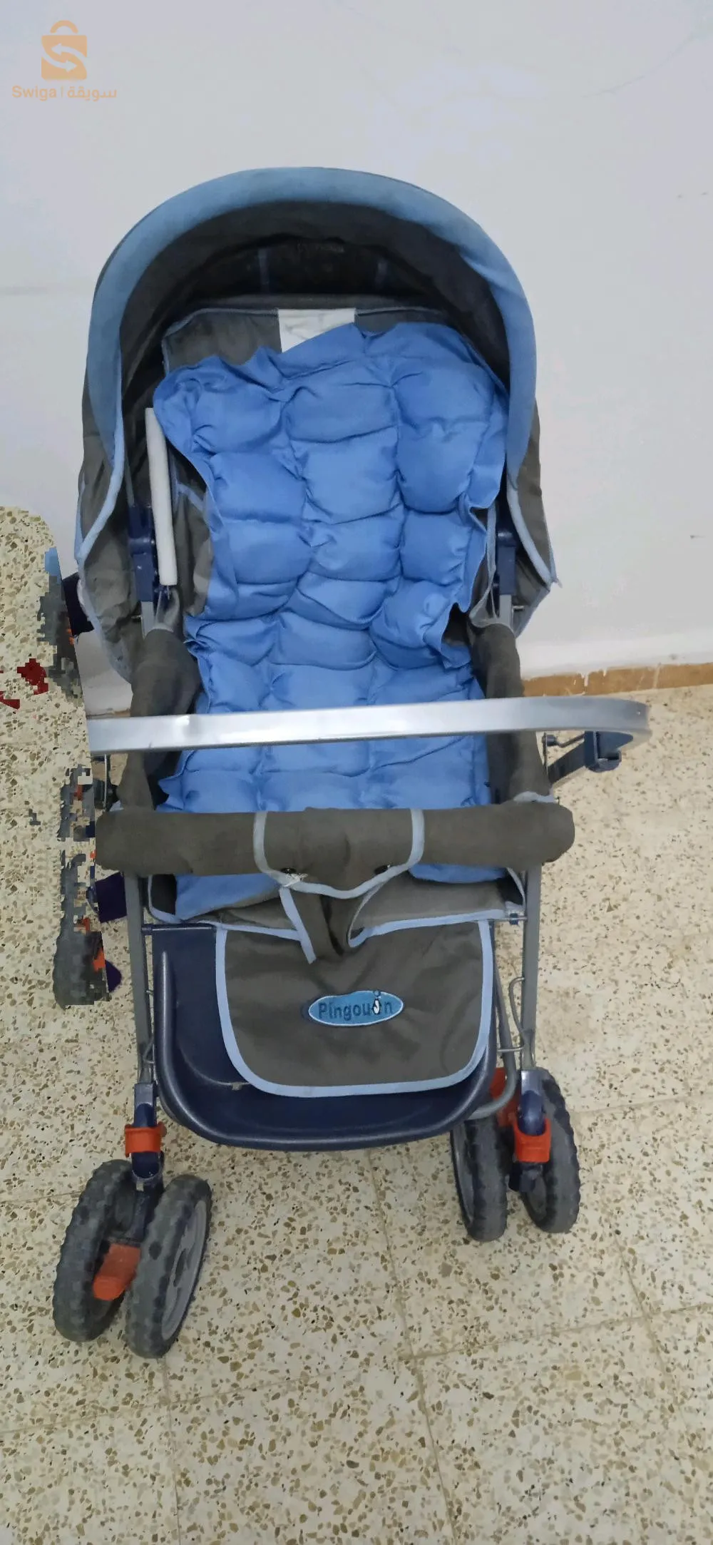 سفيزف سيد بلعباس