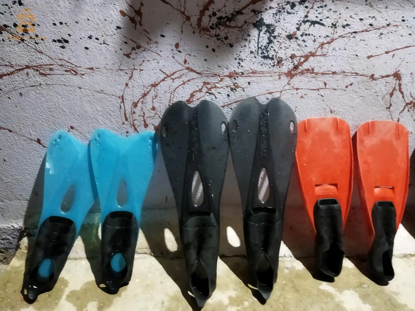 بيع بالحياة ولا جملة