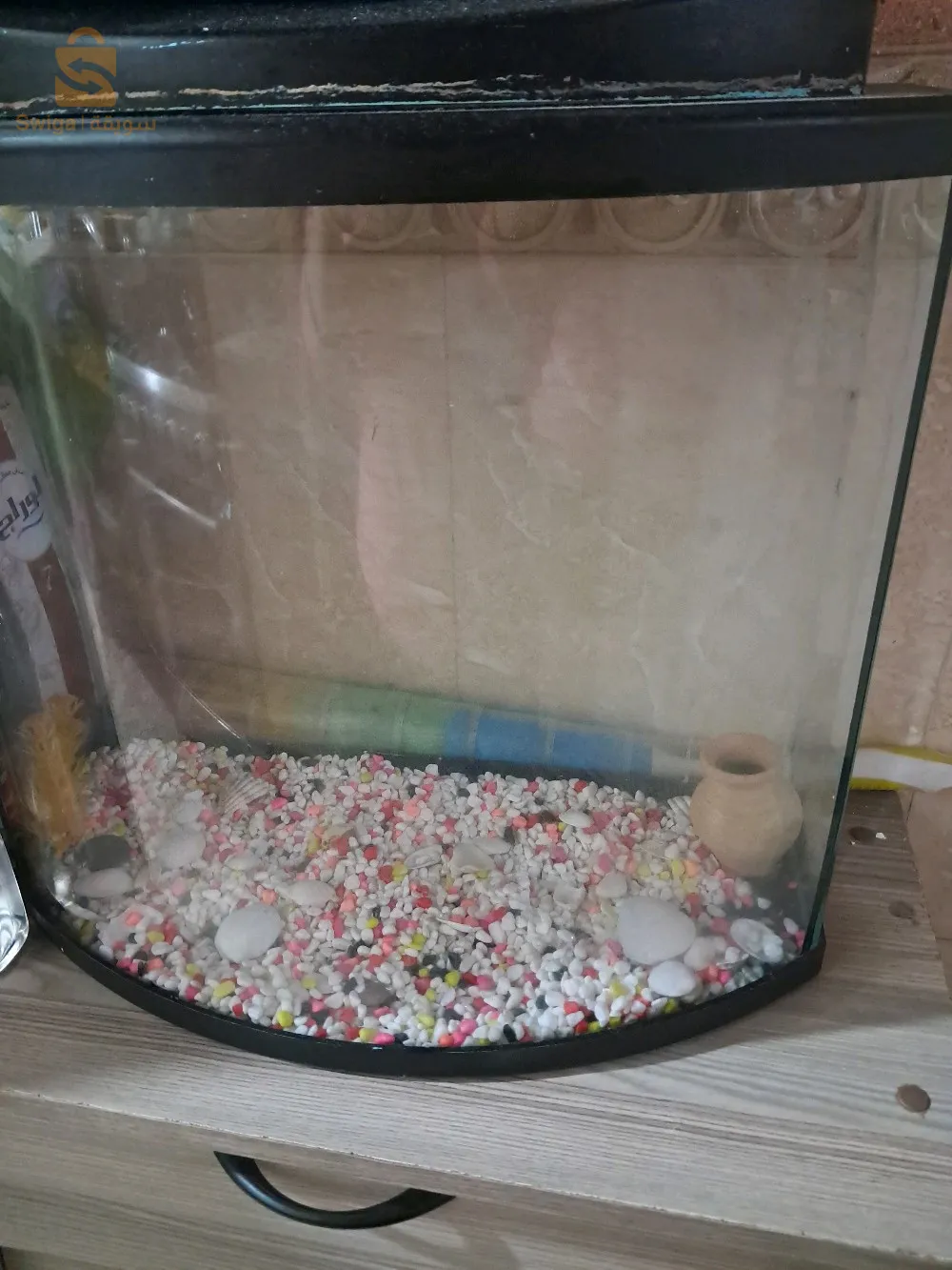 aquarium