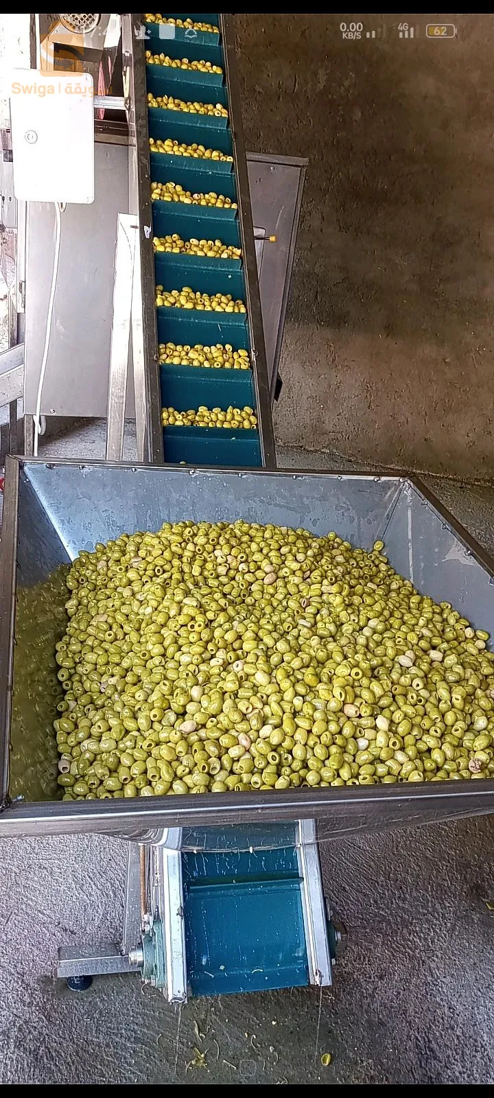 سطيف