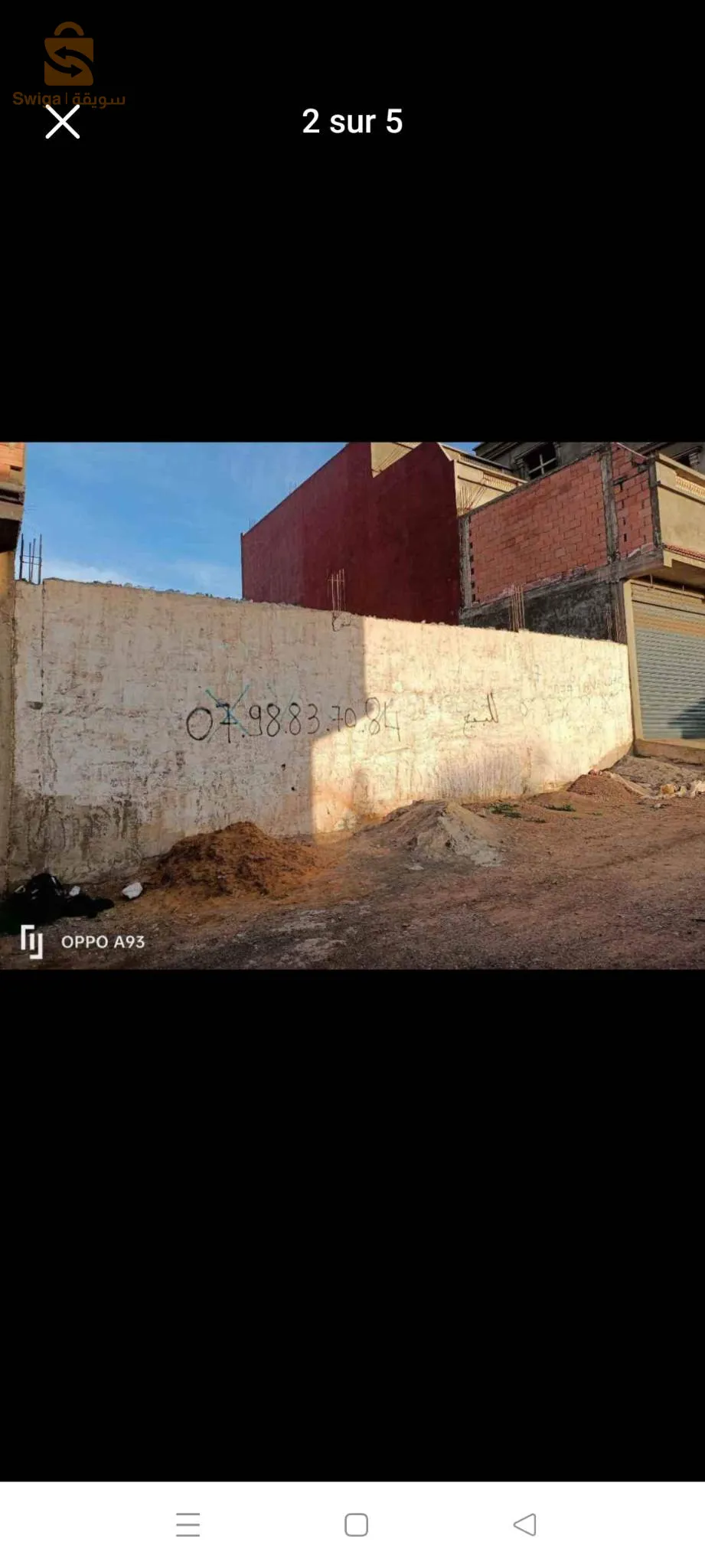 الشايرية