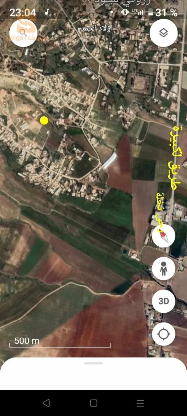 الابيض مجاجة