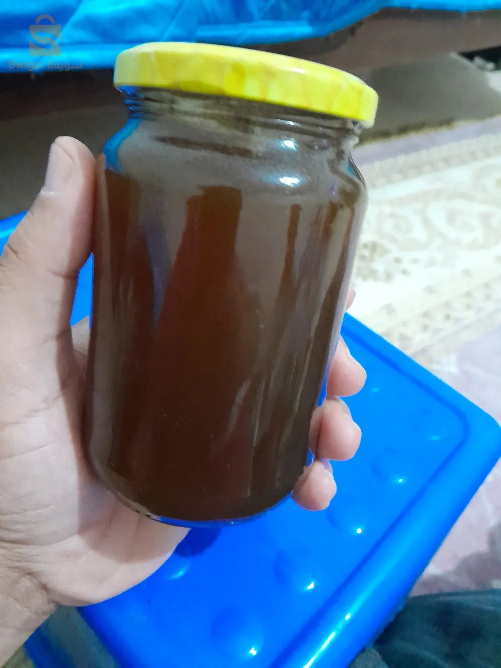 الجزائر