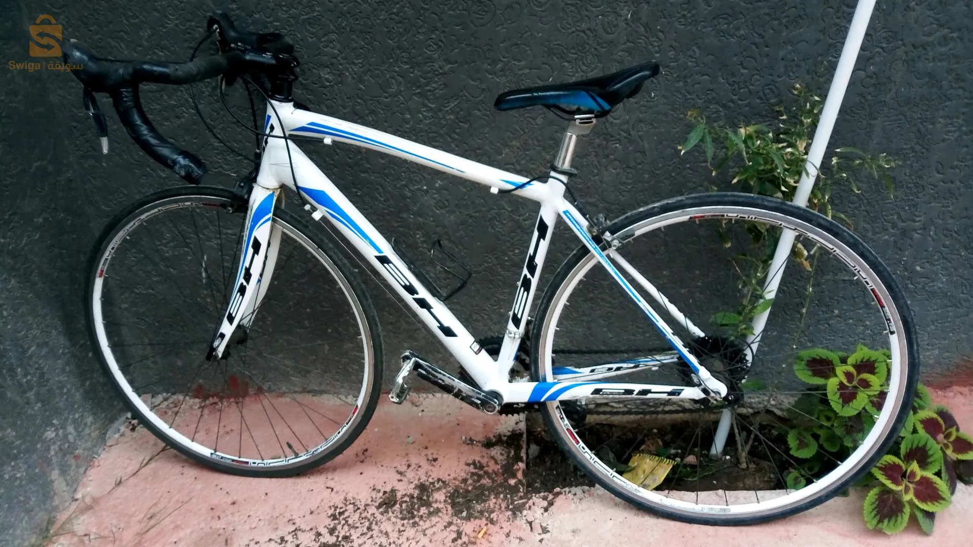 درتجة سباق للمحترفين