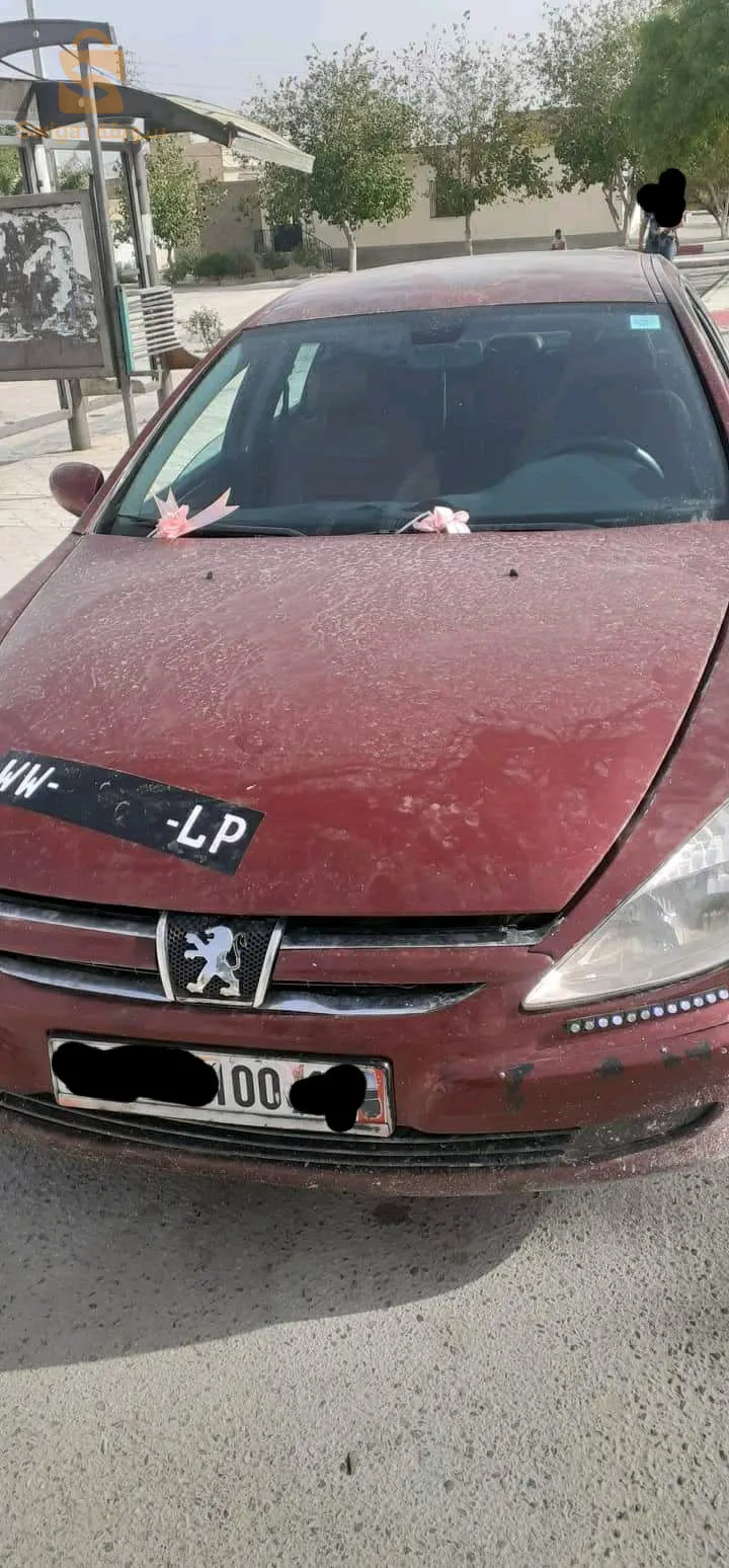 المهتم يتصل على الهاتف.