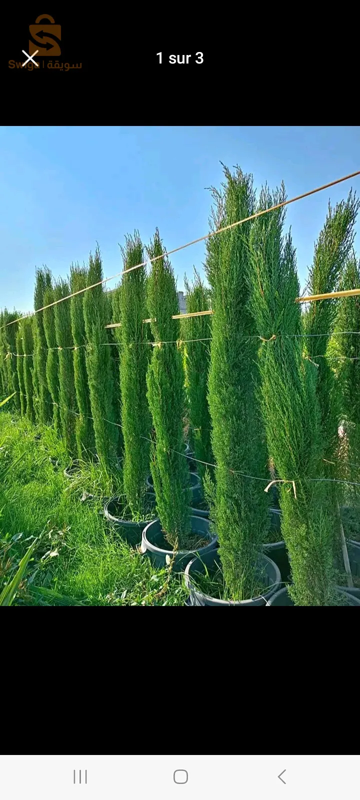 aménagement des espaces verts