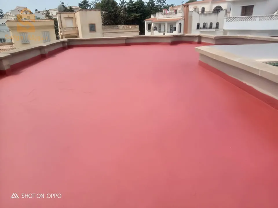 ÉTANCHÉITÉ terrasses liquide