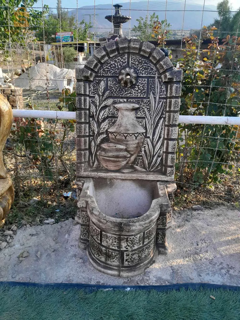 البليدة. .
