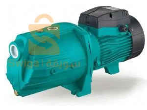 pompe à eau Léo. Crown.