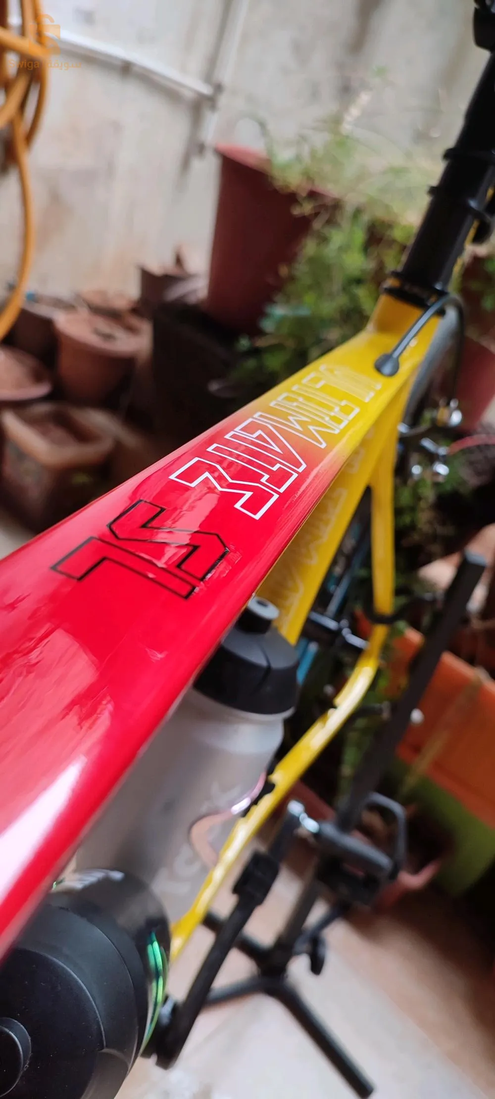 vélo course carbone
