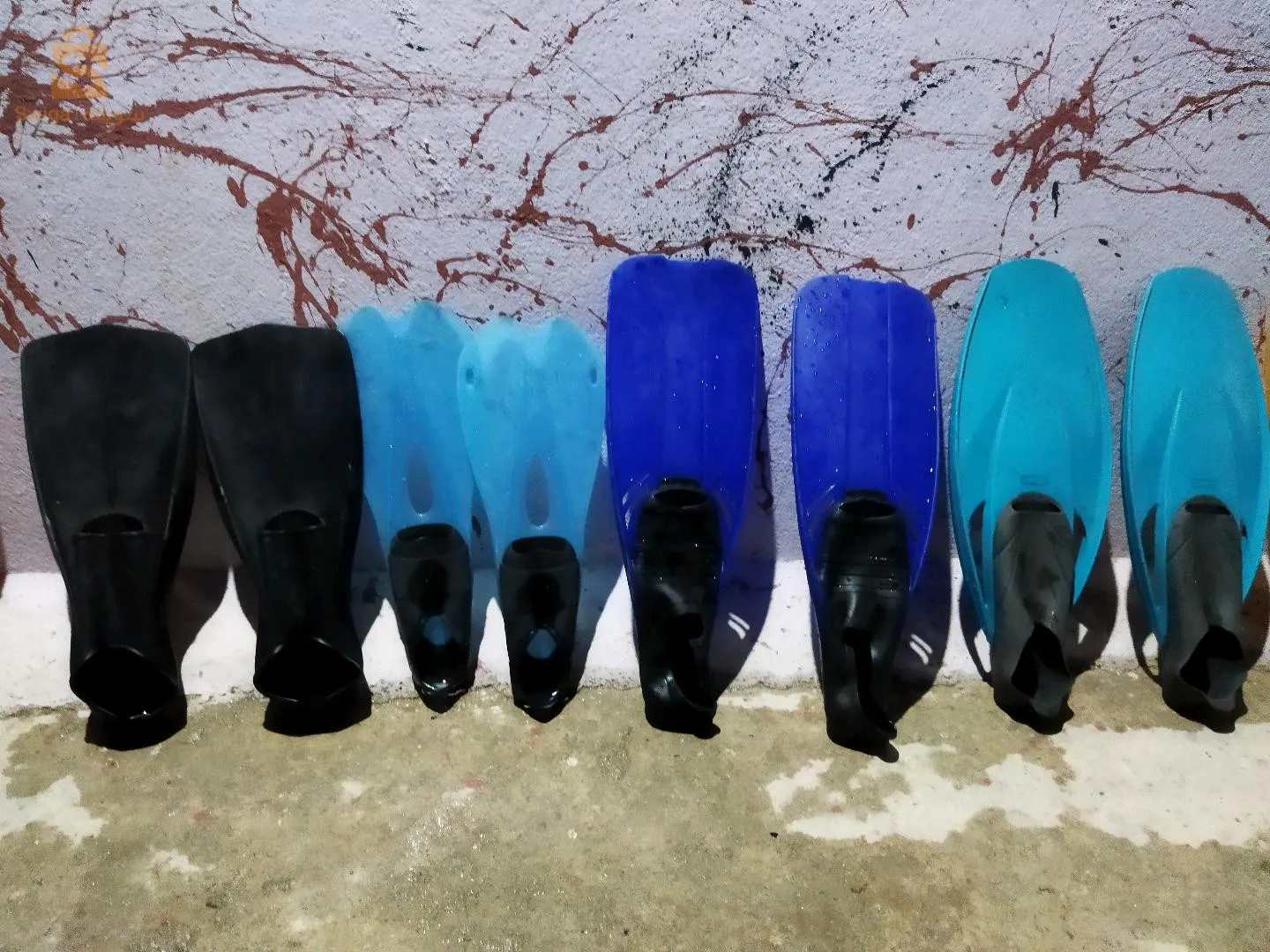 بيع بالحياة ولا جملة